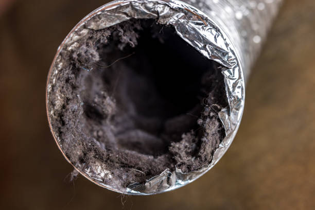 Air Duct Mold Removal in IN